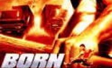 Born to Fight Bangla Subtitle