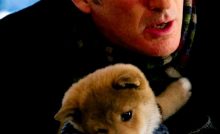 Hachiko: A Dog's Story Bangla Subtitle