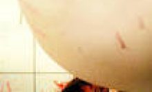 Martyrs Bangla Subtitle