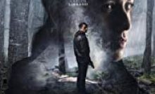 The Invisible Guardian Bangla Subtitle
