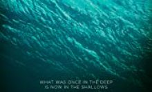 The Shallows Bangla Subtitle