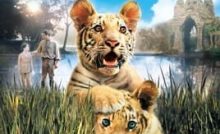 Two Brothers Bangla Subtitle