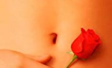 American Beauty Bangla Subtitle