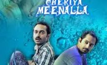 Natholi Oru Cheriya Meenalla Bangla Subtitle