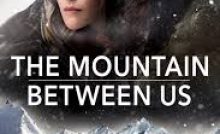 The Mountain Between Us Bangla Subtitle