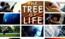 The Tree of Life Bangla Subtitle