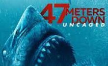 47 Meters Down Uncaged Bangla Subtitle