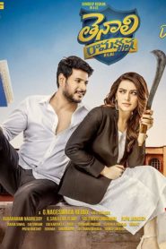 Tenali Ramakrishna BA.BL (2019) Bangla Subtitle – তেনালি রামকৃষ্ণ বিএ বিএল বাংলা সাবটাইটেল