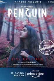 Penguin (2020) Bangla Subtitle – পেঙ্গুইন