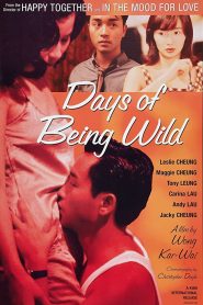 Days of Being Wild (1990) Bangla Subtitle – (Ah fei zing zyun)