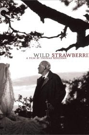 Wild Strawberries (1957) Bangla Subtitle – (Smultronstället)