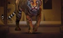 Mirugaa Bangla Subtitle