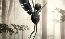The Chestnut Man Bangla Subtitle