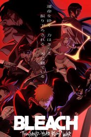 Bleach: Thousand-Year Blood War Bangla Subtitle – ব্লিচ: থাউজ্যান্ড -ইয়ার ব্লাড ওয়ার