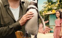 My Penguin Friend (2024) Bangla Subtitle
