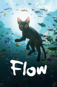 Flow (2024) Bangla Subtitle – ফ্লো