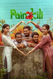 Painkili (2025) Bangla Subtitle – পেইনকিলি