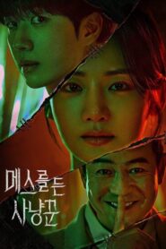 Hunter with a Scalpel Bangla Subtitle – হান্টার উইথ এ স্ক্যাল্পেল