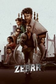 Zebra (2024) Bangla Subtitle – জেব্রা