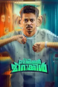 It’s a Medical Miracle (2026) Bangla Subtitle – ইট’স এ মেডিকেল মিরাকল